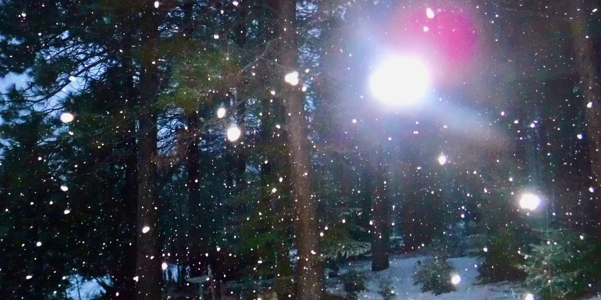 A group of people gathered around a campfire at night during a CE5 event near Mount Shasta, playing music and engaging in conversation, with glowing orbs appearing in the air.
