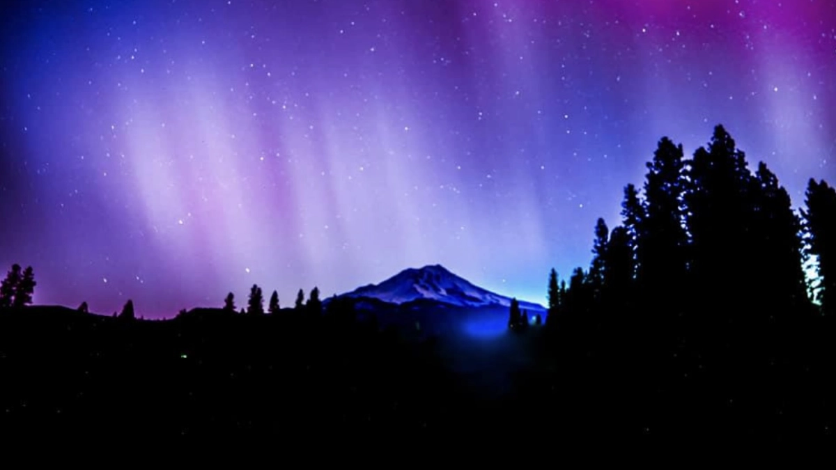 Mount Shasta silhouetted against a star-filled night sky illuminated by vivid shades of purple, pink, and blue from the aurora borealis. Tall pine trees frame the scene on both sides, with soft, ethereal light glowing near the mountain’s base.