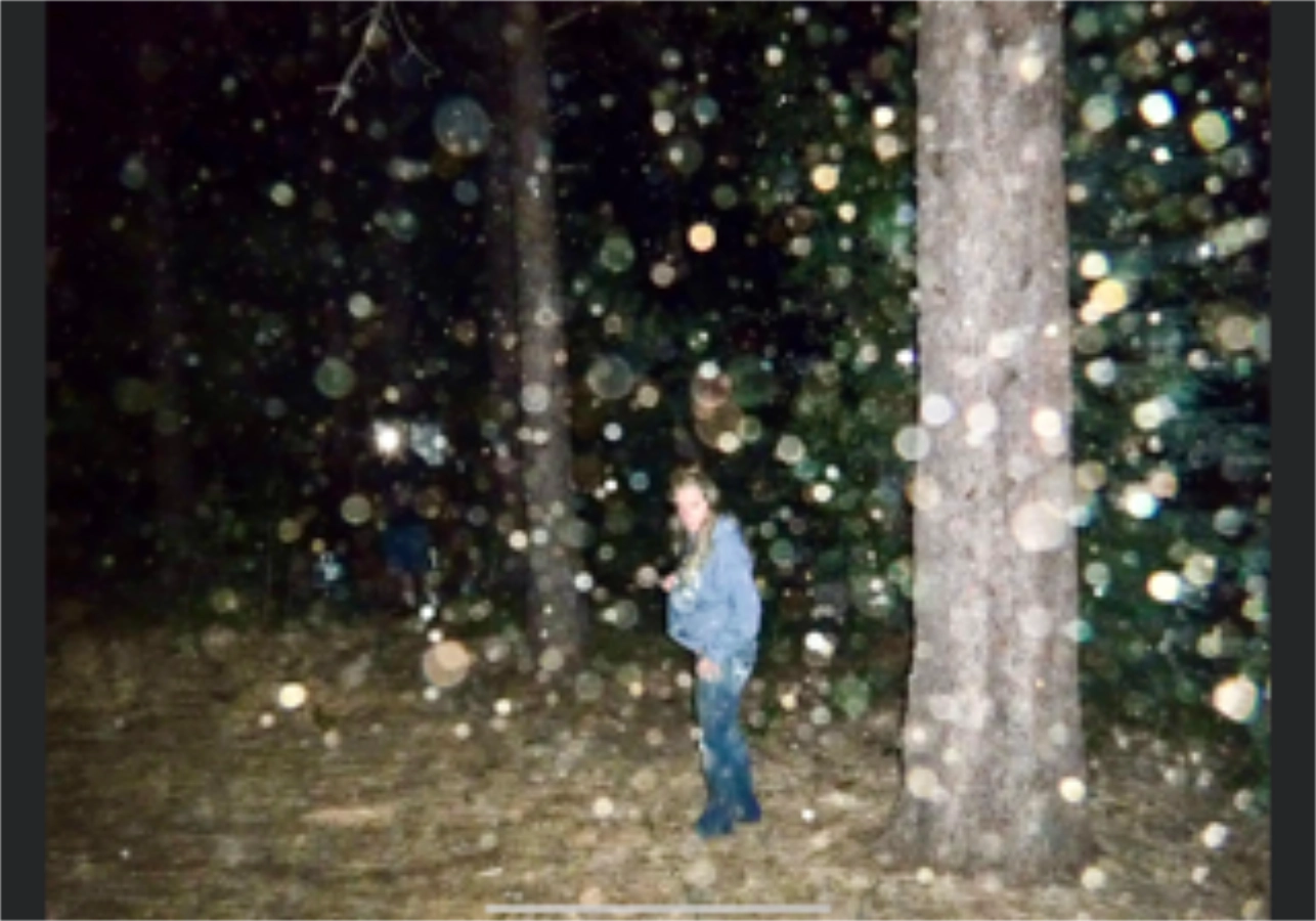 Woman standing in a wooded area at night, surrounded by hundreds of glowing orbs filling the air.